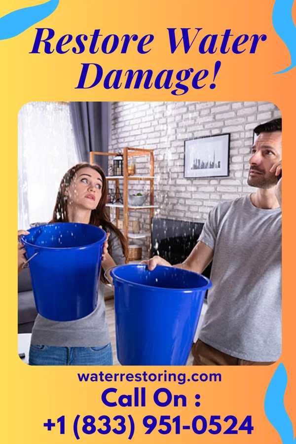 water restoration New Water Damage Brothers Pebble Creek